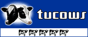 player for video jquery